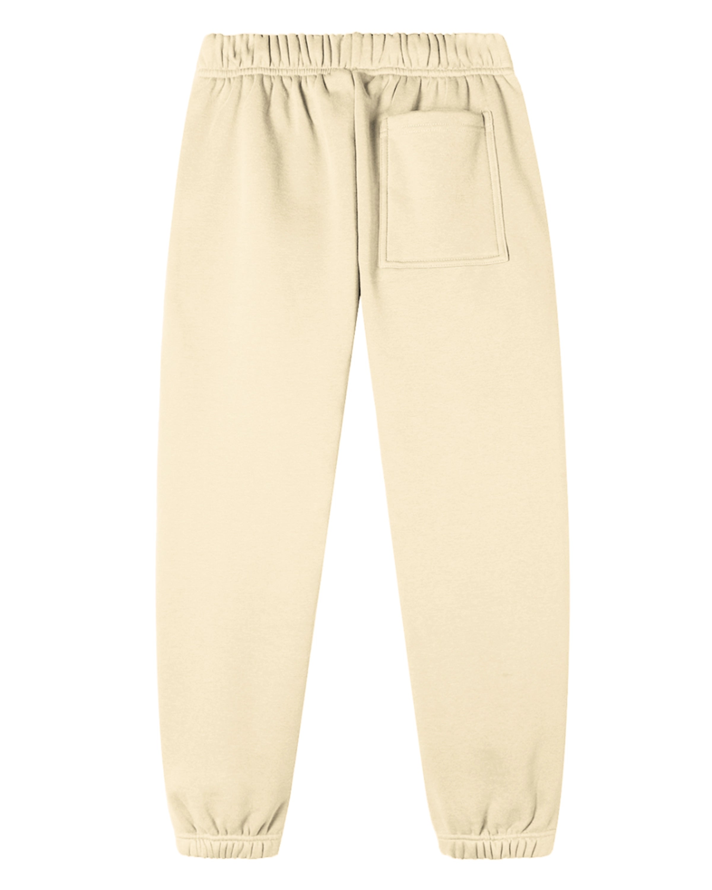 Apricot Streetwear Loose Fit Essential Joggers Back Mockup - Hanggerrz