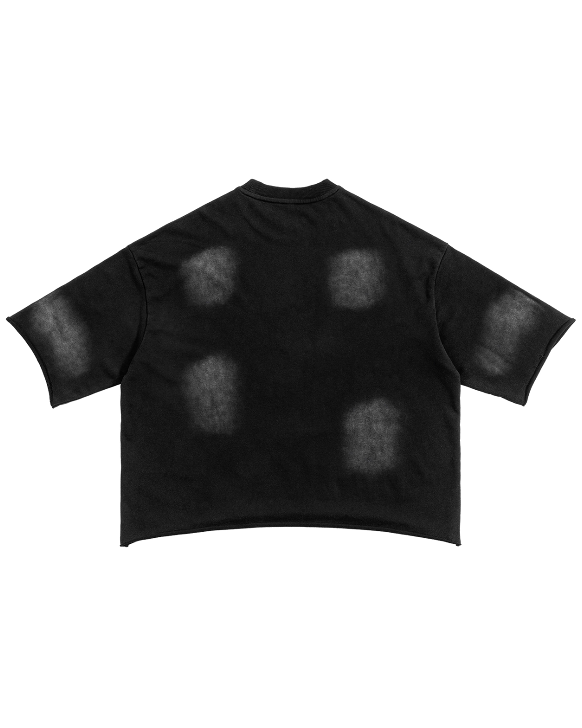 Black Sunfade French Terry Raw Edge Streetwear T-shirt Back Mockup - Hanggerrz