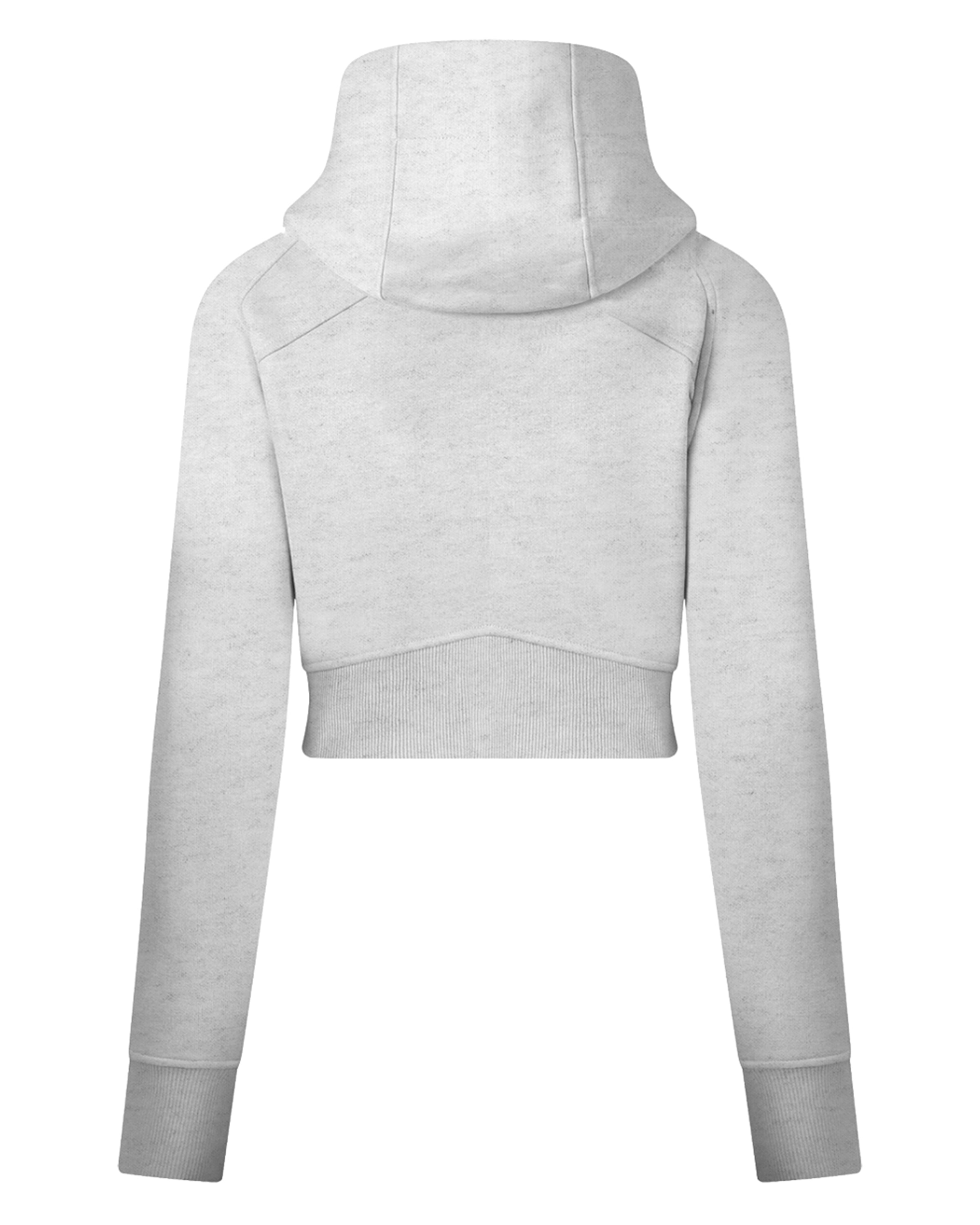 Cold Gray Cropped Zip-Through Hoodie For Women Back Mockup - Hanggerrz