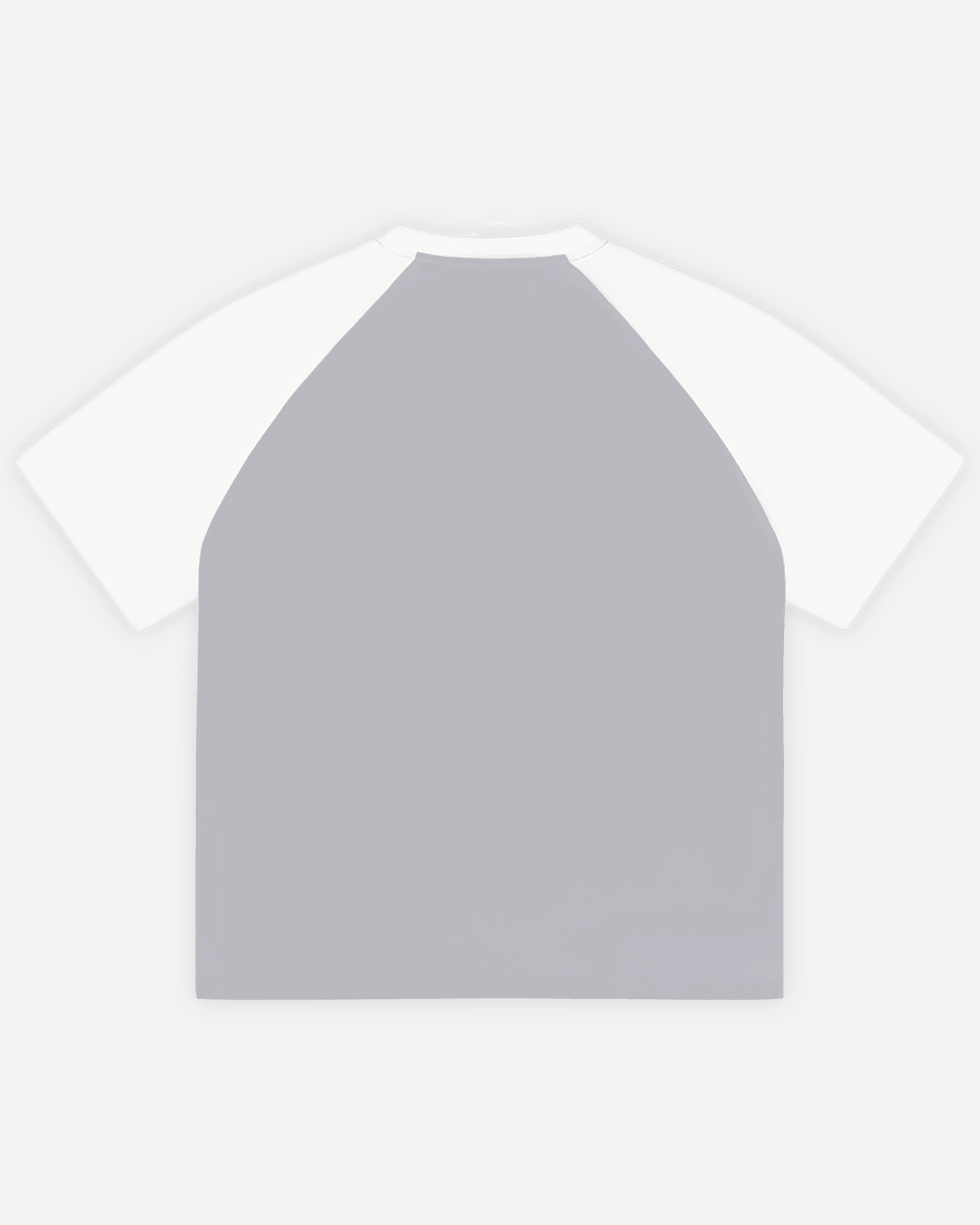 Gray with White Color-Blocked Raglan Sleeve T-shirt Back Mockup - Hanggerrz